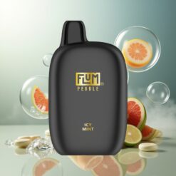 FLUM Pebble 6000 magyar nagykereskedés 10ml Jéghavas Mentol