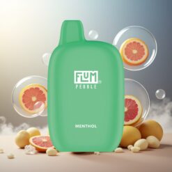FLUM Pebble 6000 Puff (10ml, 5% Nikotin) Mentol magyar nagykereskedés